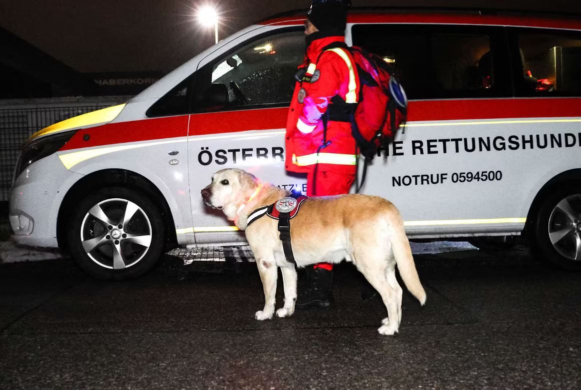 Seit Sonntagabend war im Bezirk Steyr-Land nach dem Abgängigen gesucht worden. (Archivbild)