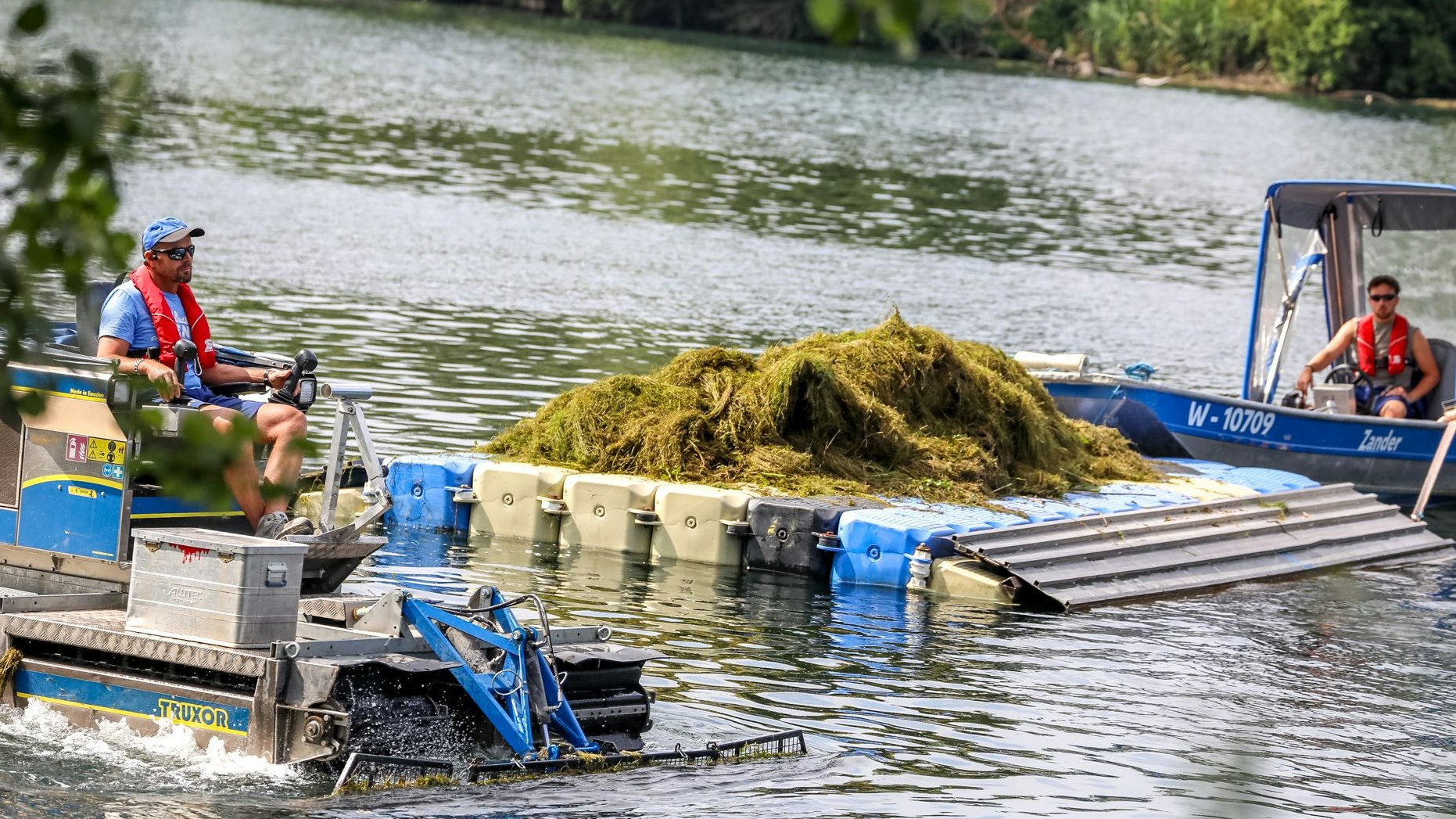 Heute.at - Alte Donau –  Pommes-Becher aus Wasserpflanzen
