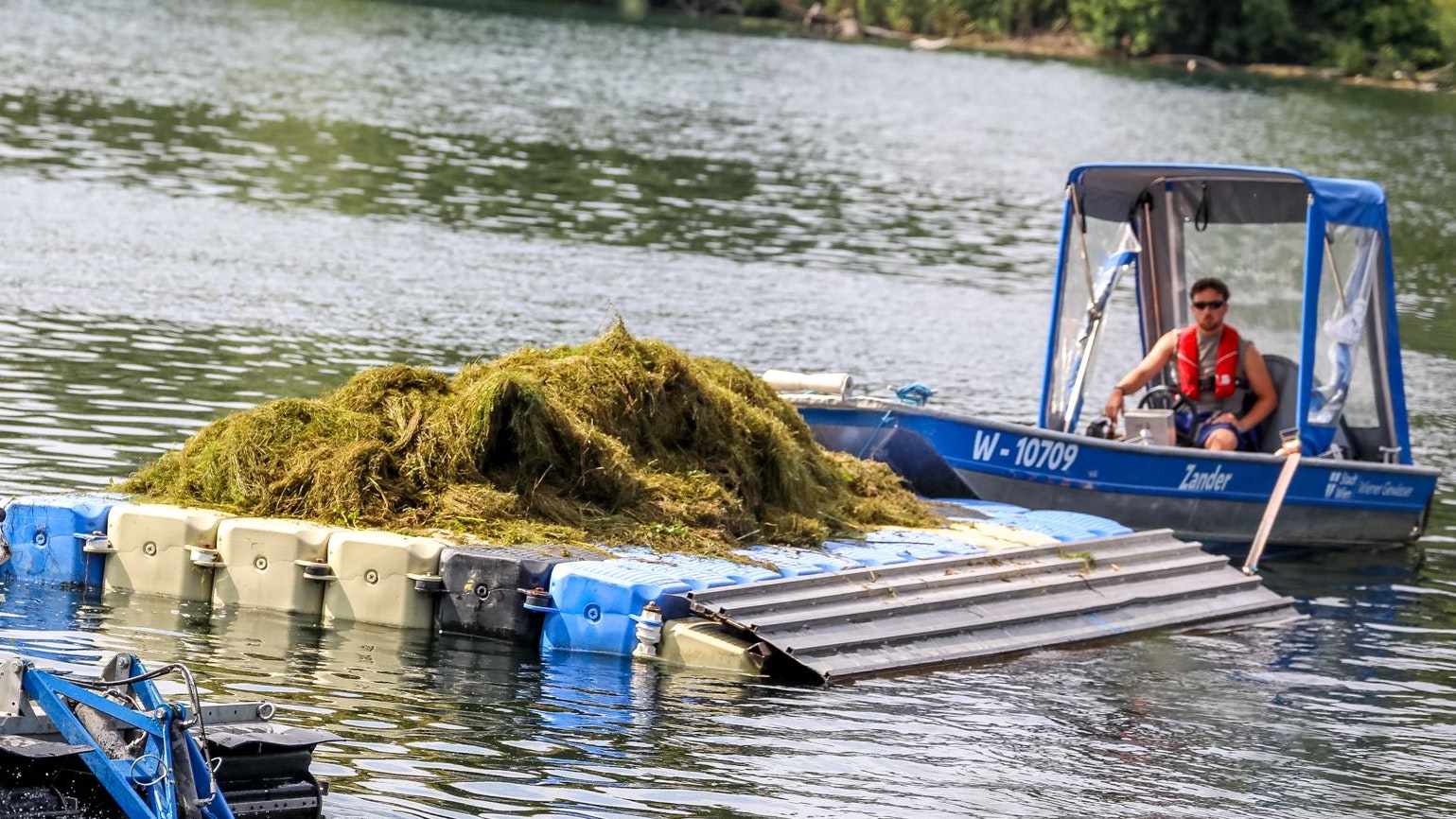 Mähboote im Einsatz auf der Alten Donau