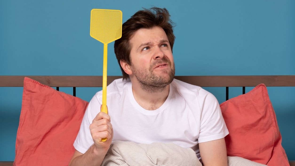 Heute.at - Bsss! Museum ruft nun alle Wiener zum Fliegenfangen auf