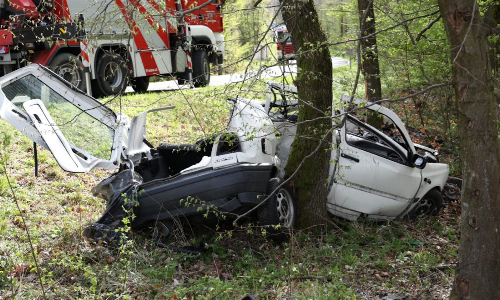 Der Wagen krachte gegen einen Baum.