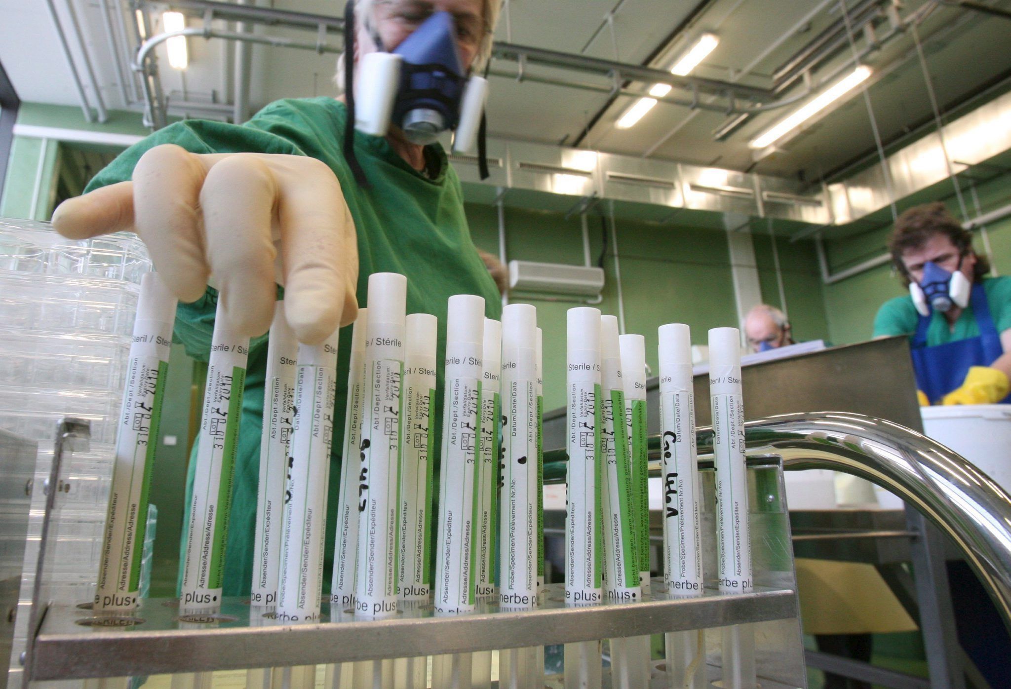 Die infizierten Milchkühe im US-Bundesstaat Texas wurden vermutlich von Wildvögeln angesteckt. (Symbolbild)