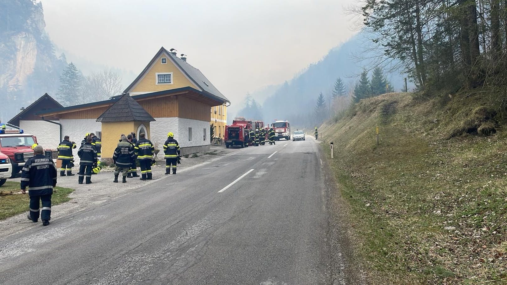 Kurz vor Wildalpen ist es in einem steilen Waldgebiet aus bis lang noch ungeklärter Ursache zu einem Waldbrand gekommen.&nbsp;