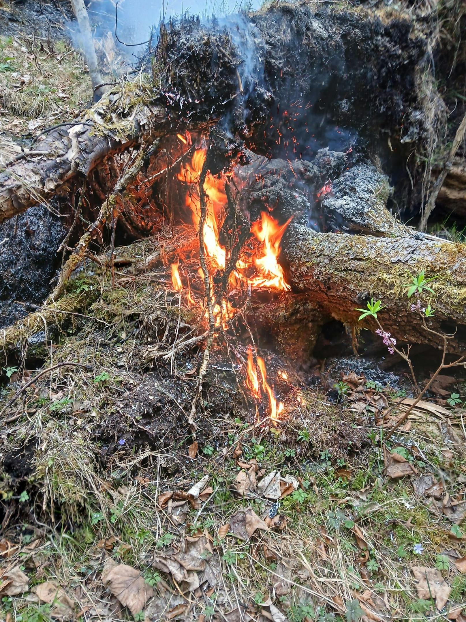 Der Waldbrand hält seit Ostermontag an.
