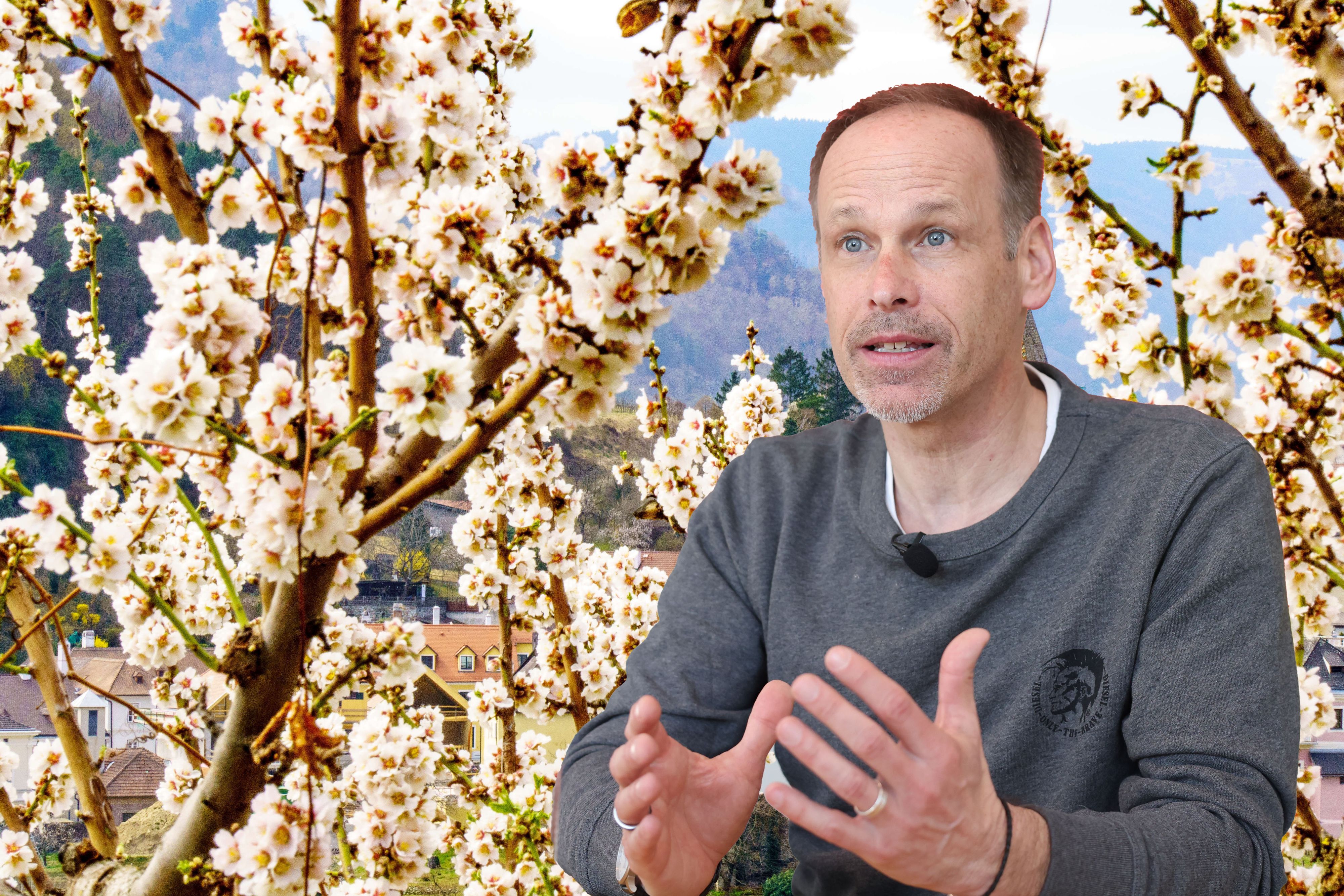 Seit Beginn der Messreihe im Jahr 1767 gab es bisher noch nie zwei wärmste Monate in Folge. Jetzt kam das mit September-Oktober und Februar-März gleich zwei Mal innerhalb kürzester Zeit vor. Klima-Experten wie Marcus Wadsak (Bild) sind besorgt.