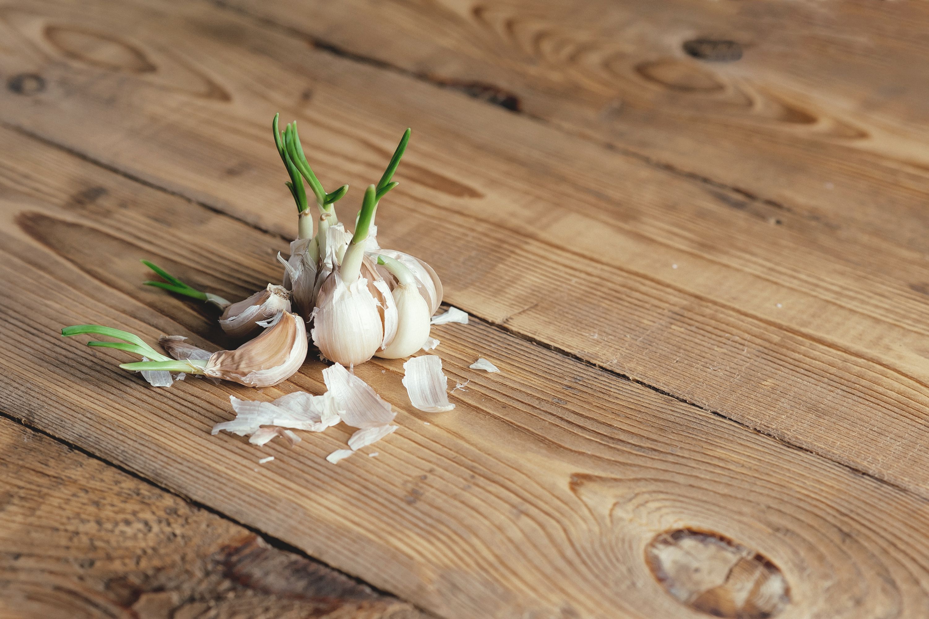 Manche Lebensmittel kann man gar nicht so schnell essen, wie sie keimen. Dennoch kann man einige dann immer noch bedenkenlos essen.&nbsp;