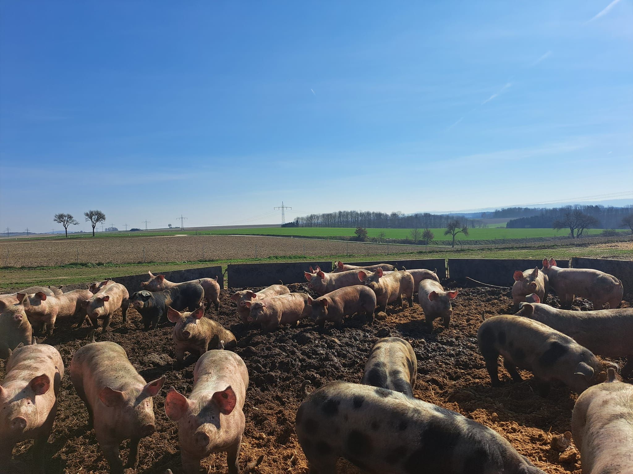 Die Brüder Hubmann müssen eine Strafe für ihre alternative Haltung zahlen.