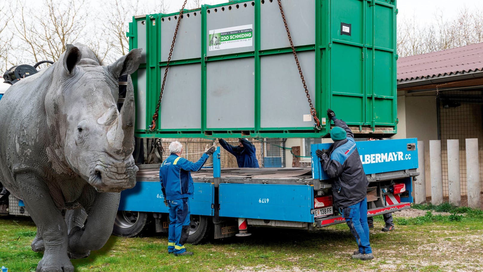 Tierische Reise – Nashorn "Malou" jetzt in Frankreich