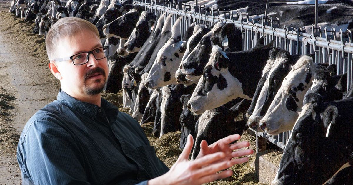 Der österreichische Virologe Florian Krammer ist über die Infektion des Menschen nicht überrascht.