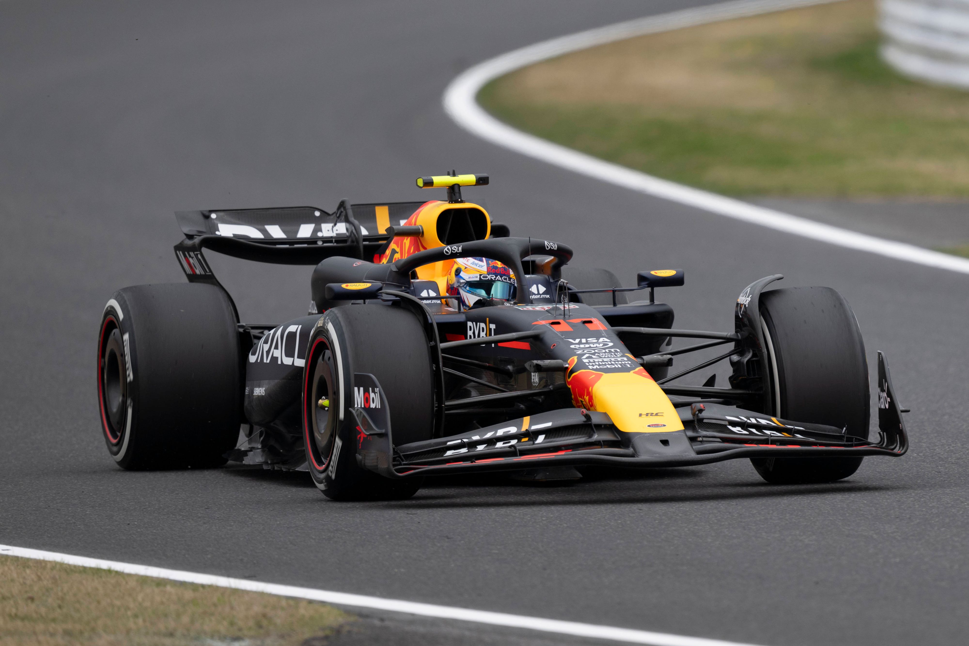 Red-Bull-Pilot Max Verstappen. 