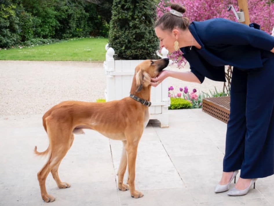 Kanzler-Gattin Katharina Nehammer genoss die Zeit im Élysée-Palast.