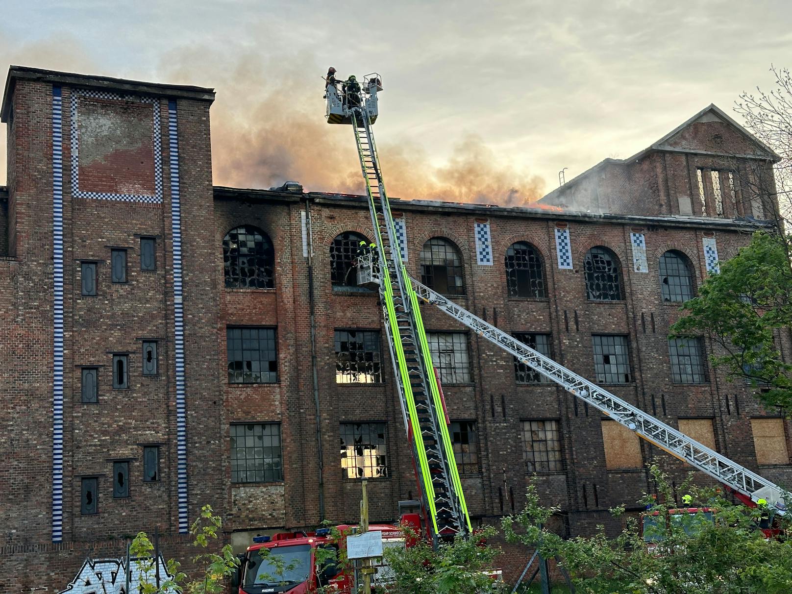 Großeinsatz bei der Hammerbrotfabrik in Schwechat (NÖ) bei Wien