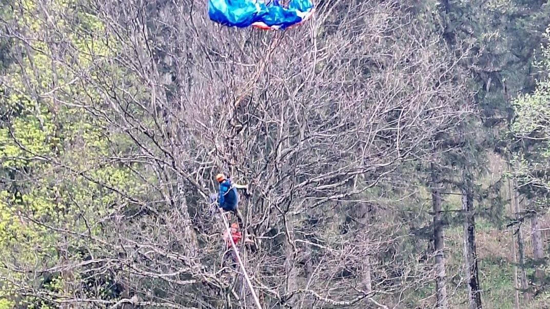 Mit einer Seilrutsche konnte der Mann aus dem Baum befreit werden