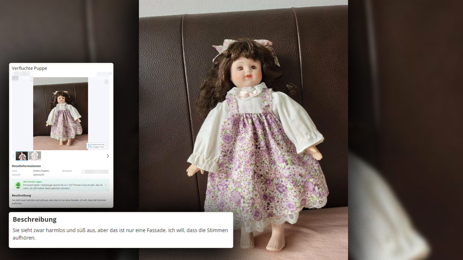 Diese Puppe sorgt für Aufsehen im Netz. Der Besitzer hat genug von der Puppe: 