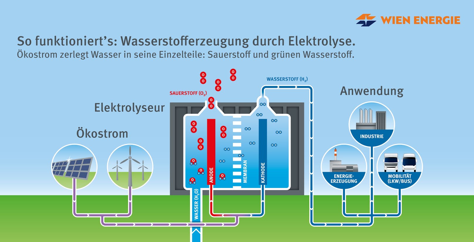 Um aus Ökostrom grünen Wasserstoff zu erzeugen, wird Elektrolyse als Verfahren eingesetzt.