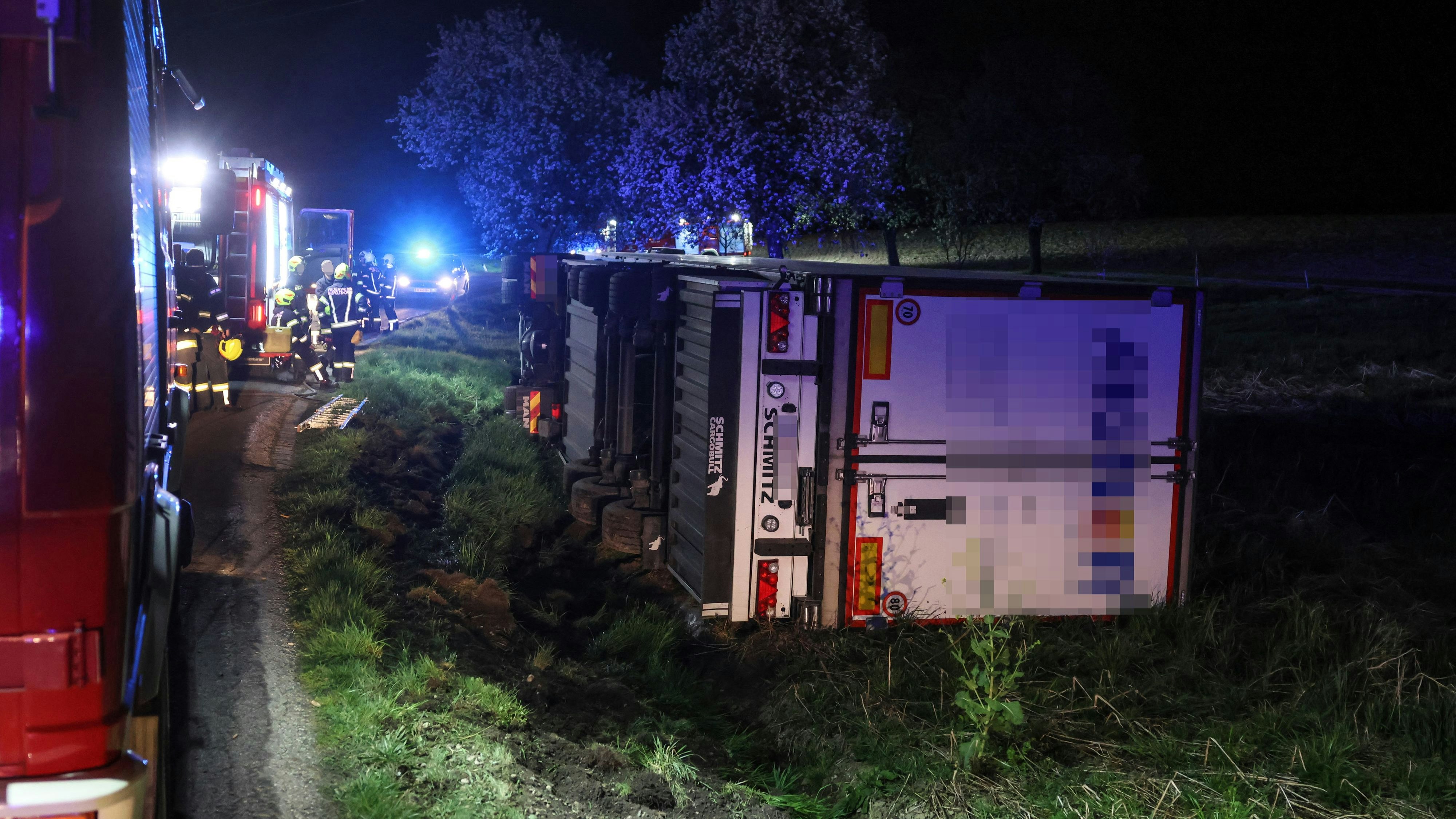 Heute.at - Reh plötzlich auf Straße, dann geht überall Licht aus