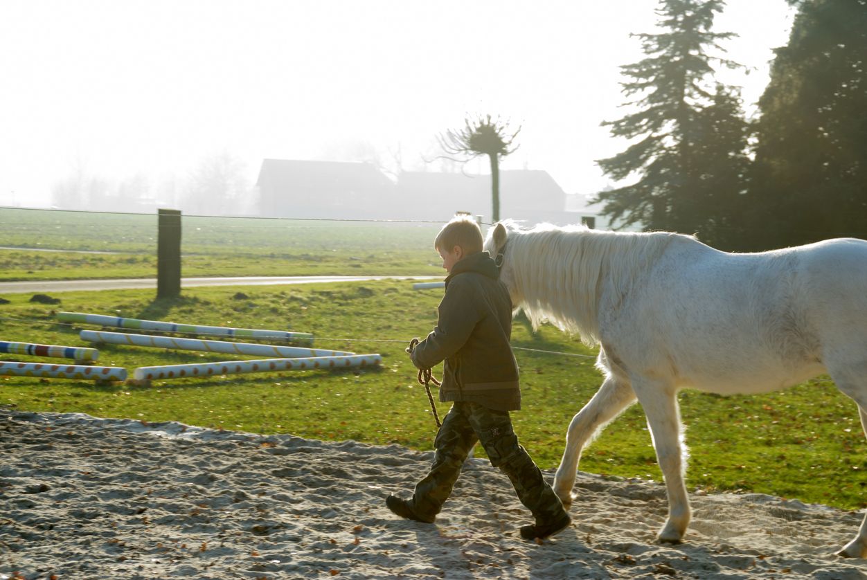 Der Bub war mit einem Pferd spazieren. Im Foto ein Kind im Volksschulalter mit einem Pony am Zügel. Symbolbild.