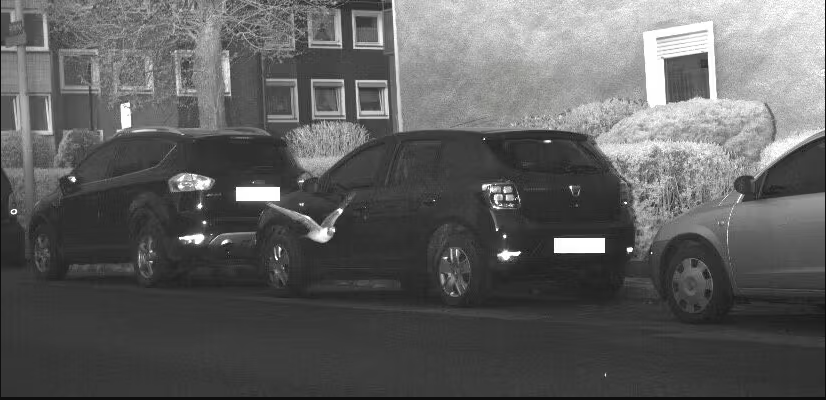 In Hagen wurde eine Taube von einer Radarfalle erfasst.