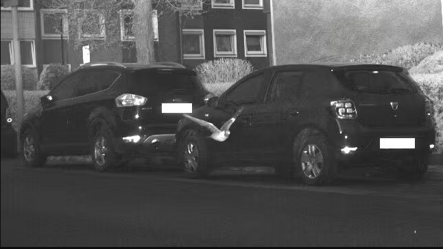 Im deutschen Hagen war eine Verkehrssünderin zehn Stundenkilometer zu schnell in der Dreißigerzone unterwegs. Die Strafe kann die Polizei nicht eintreiben, weil es sich um eine äußerst schnelle Taube handelte.