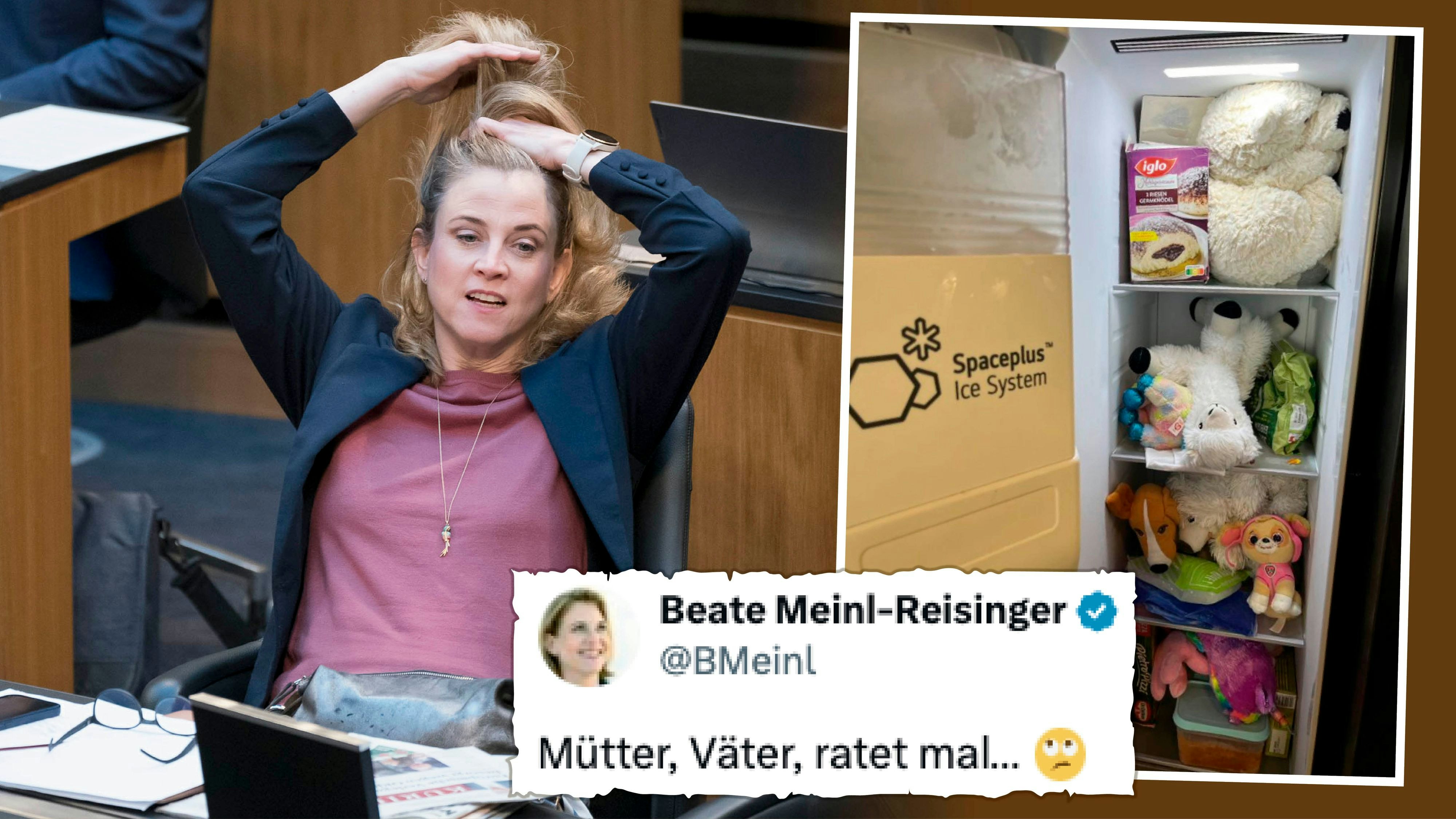 Was juckt Neos-Chefin Beate Meinl-Reisinger da? Wieder mal Läuse-Alarm im Kindergarten bei der Dreifach-Mama... 