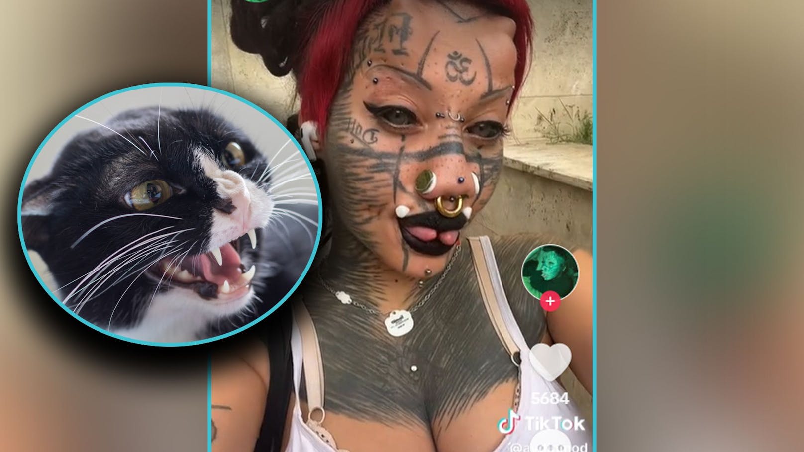 Katzenfrau – TikTokerin ließ sich Brustwarzen entfernen