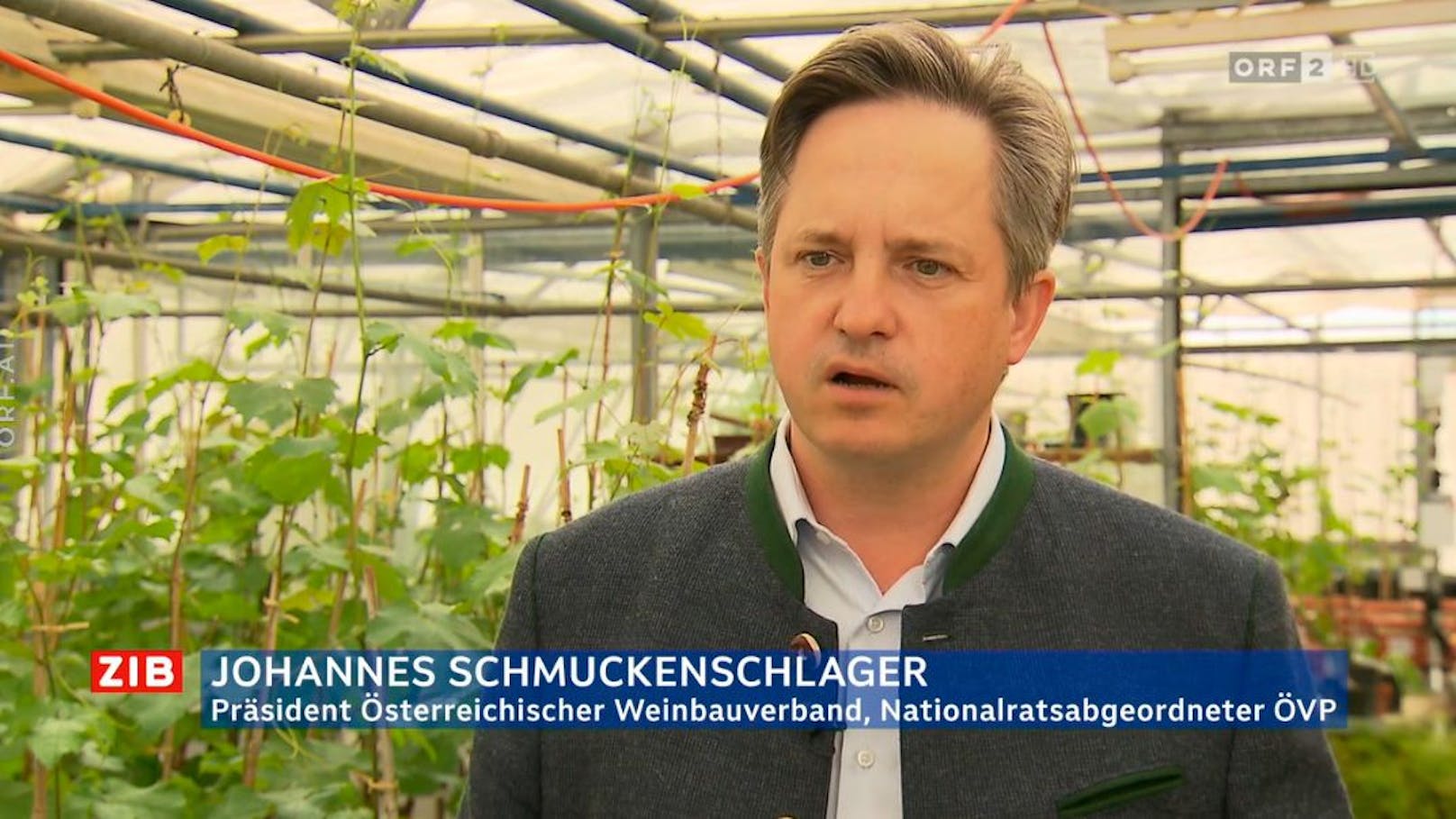 Johannes Schmuckenschlager ist Präsident des Weinbauverbands und Nationalratsabgeordneter der ÖVP.