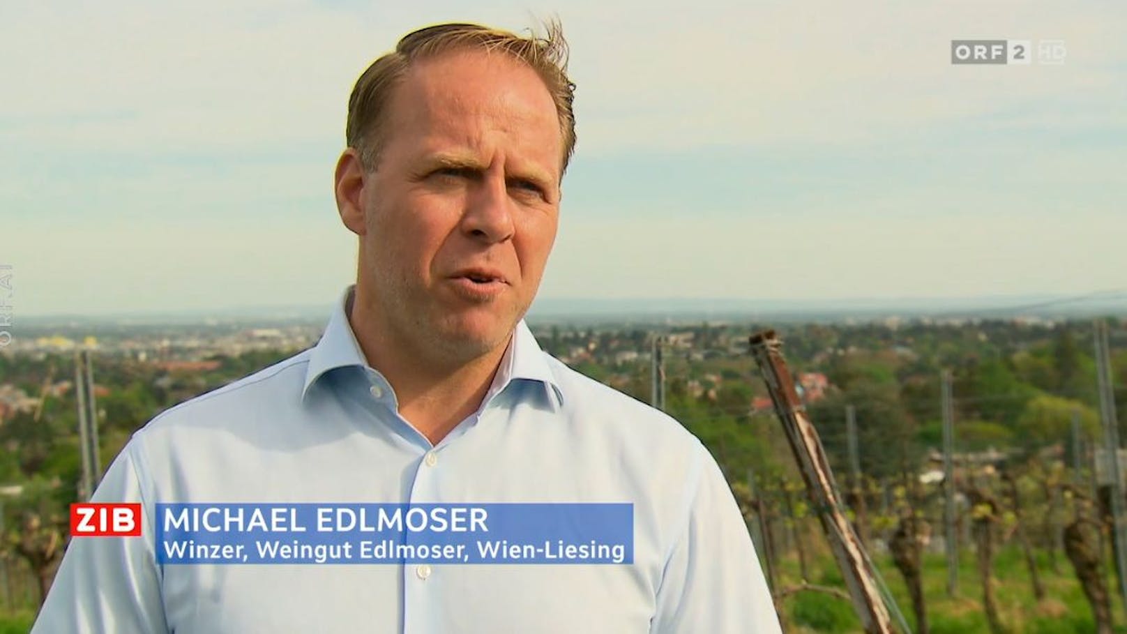 Der Wiener Winzer Michael Edlmoser beklagt den Verlust von frühreifen Weinsorten durch den Klimawandel.