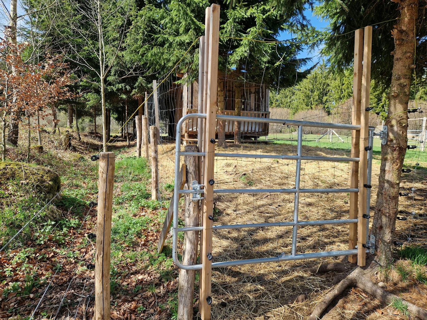 Der Bauer baute in Eigenregie Sicherheitszäune für seine Herde auf.