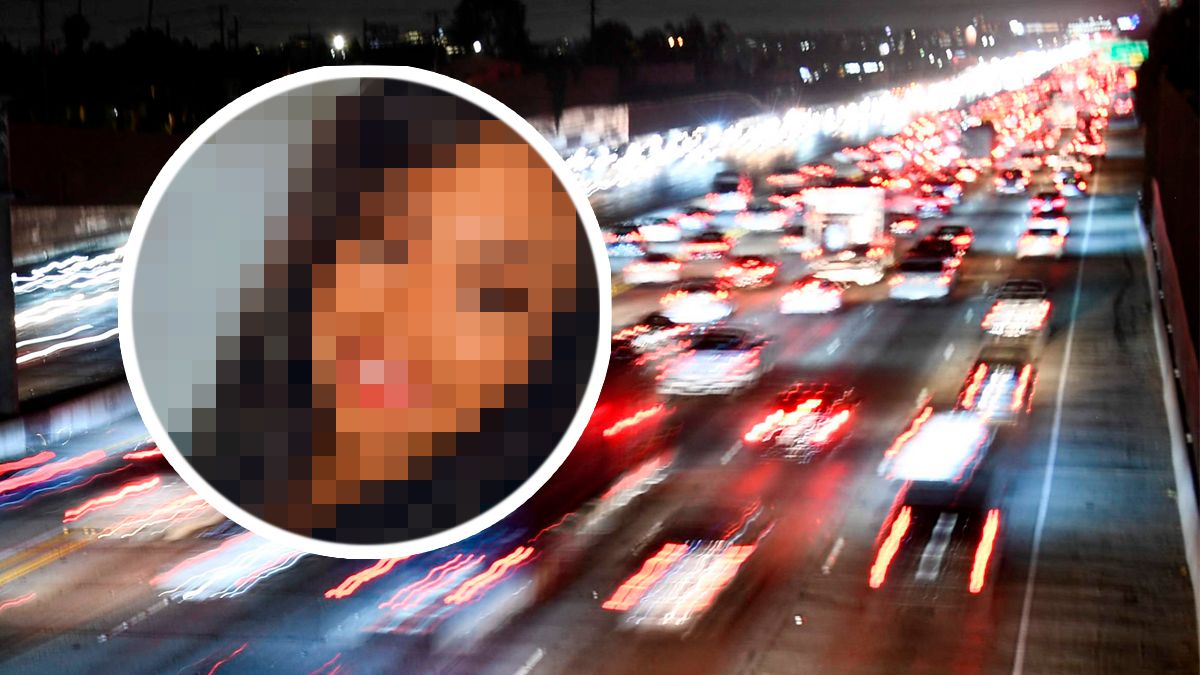 Auf dem Freeway 405 soll Danielle Johnson ihre beiden Kinder aus dem fahrenden Wagen gestoßen haben.