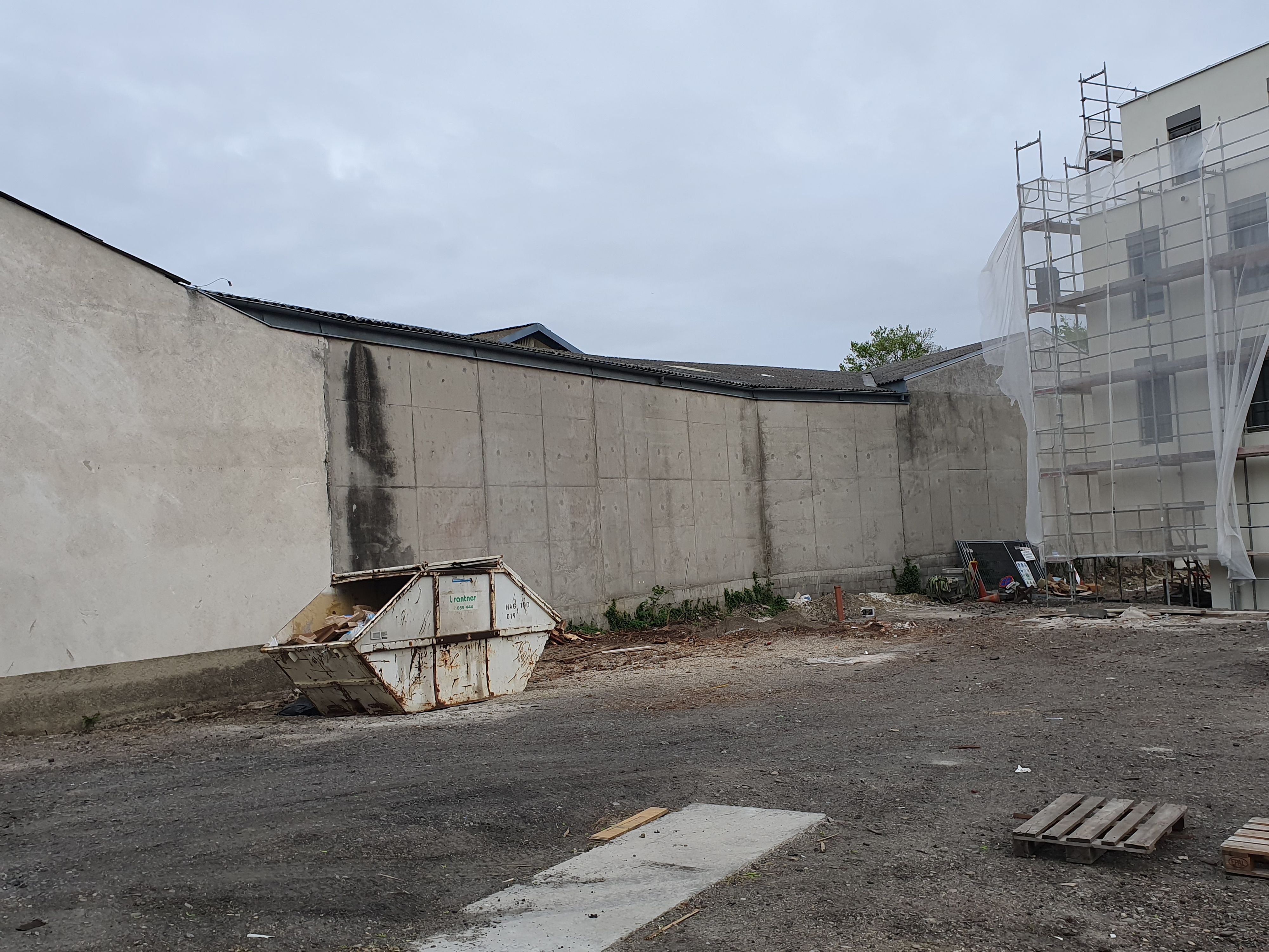 Wirbel um Baumschlägerung in Deutsch-Wagram