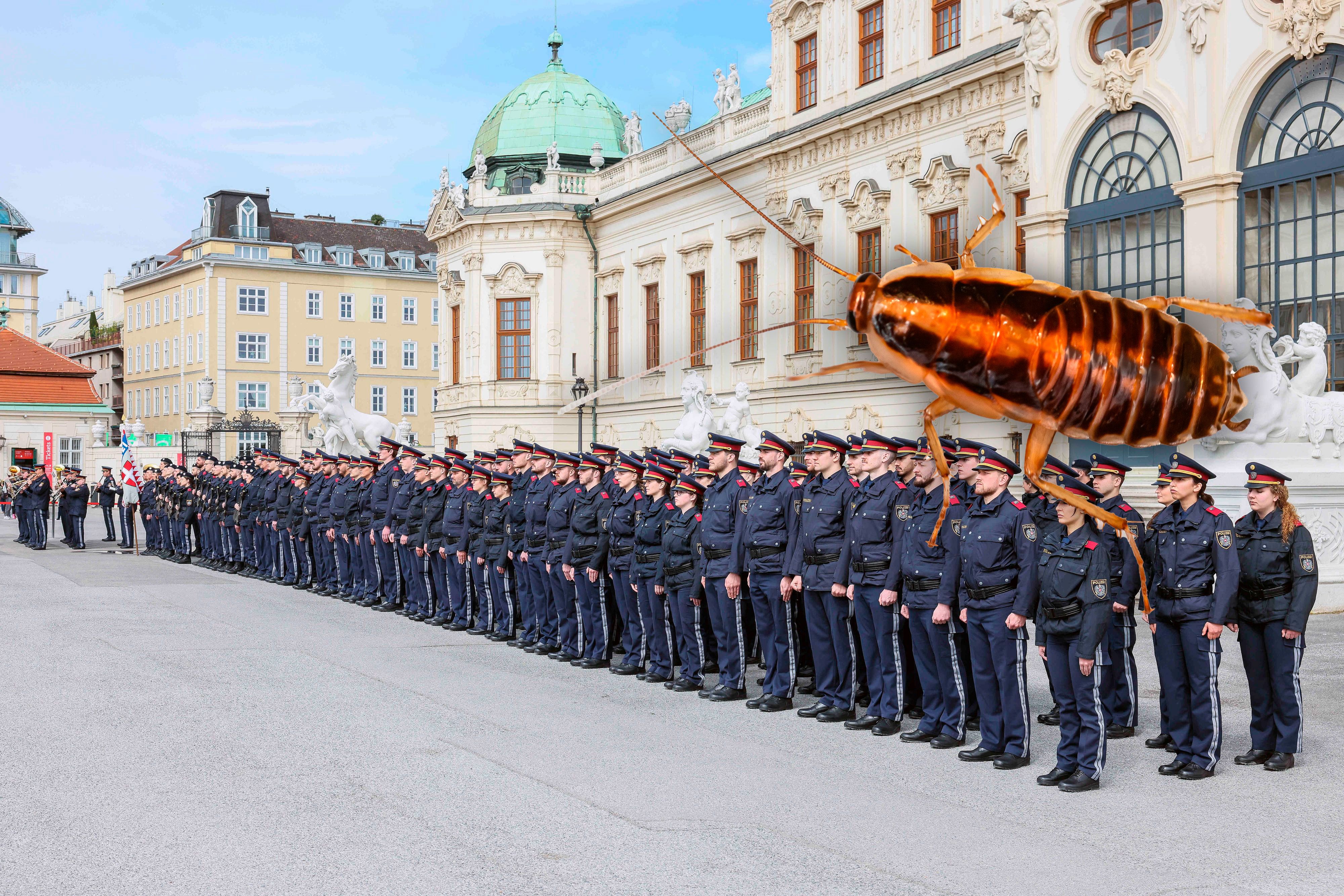 In der Marokkanerkaserne wurden Schaben gefunden. (Symbolfoto)