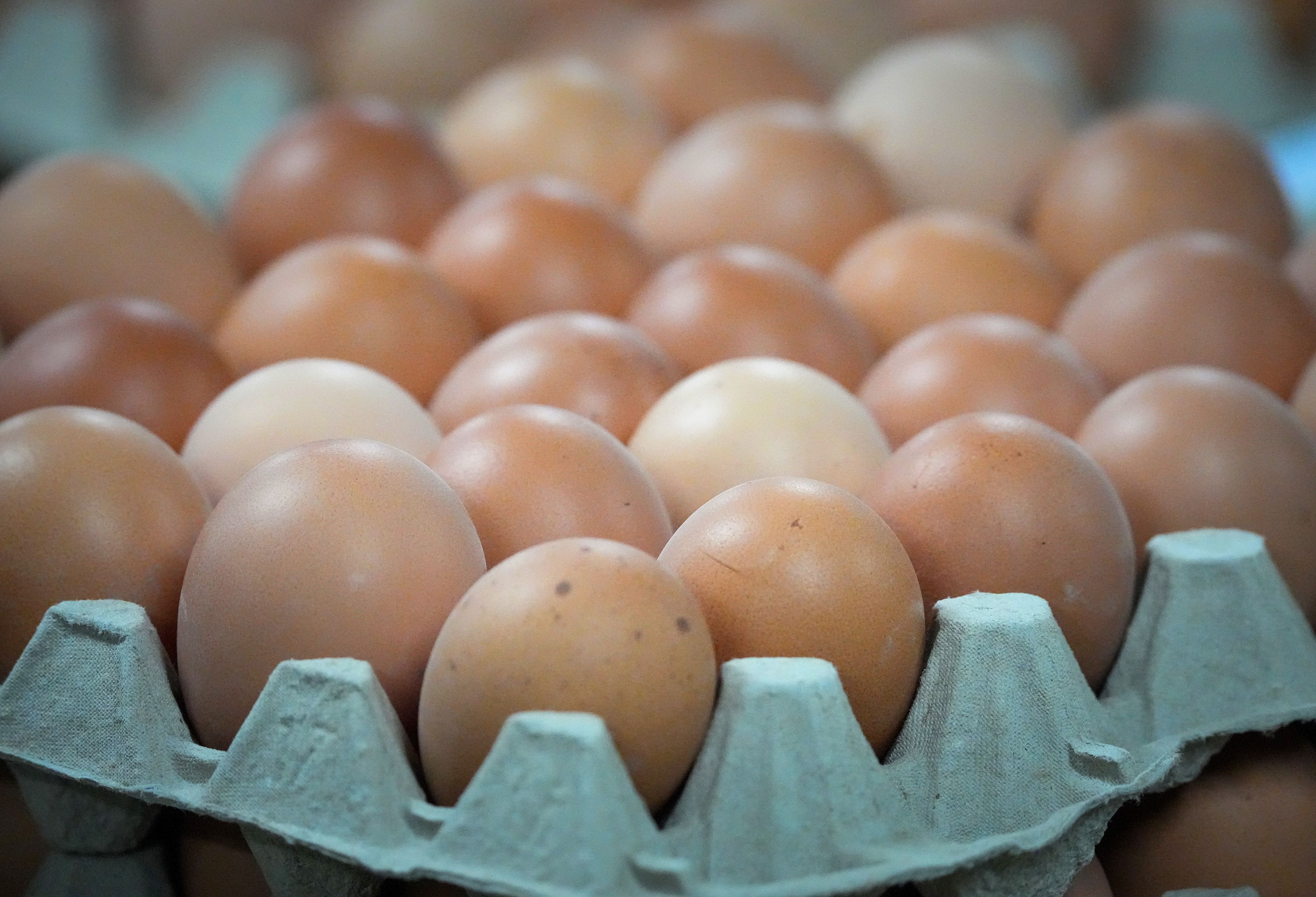 Braune Eier sind in Österreich in der Kundengunst ganz oben. Das könnte sich in absehbarer Zeit ändern.