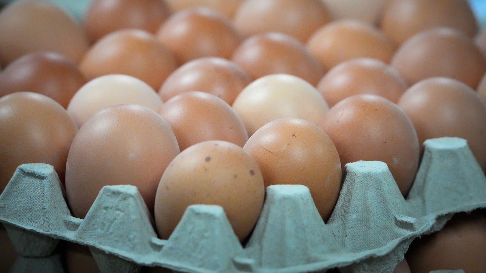 Veränderung im Handel – diese Eier stehen vor dem Aus