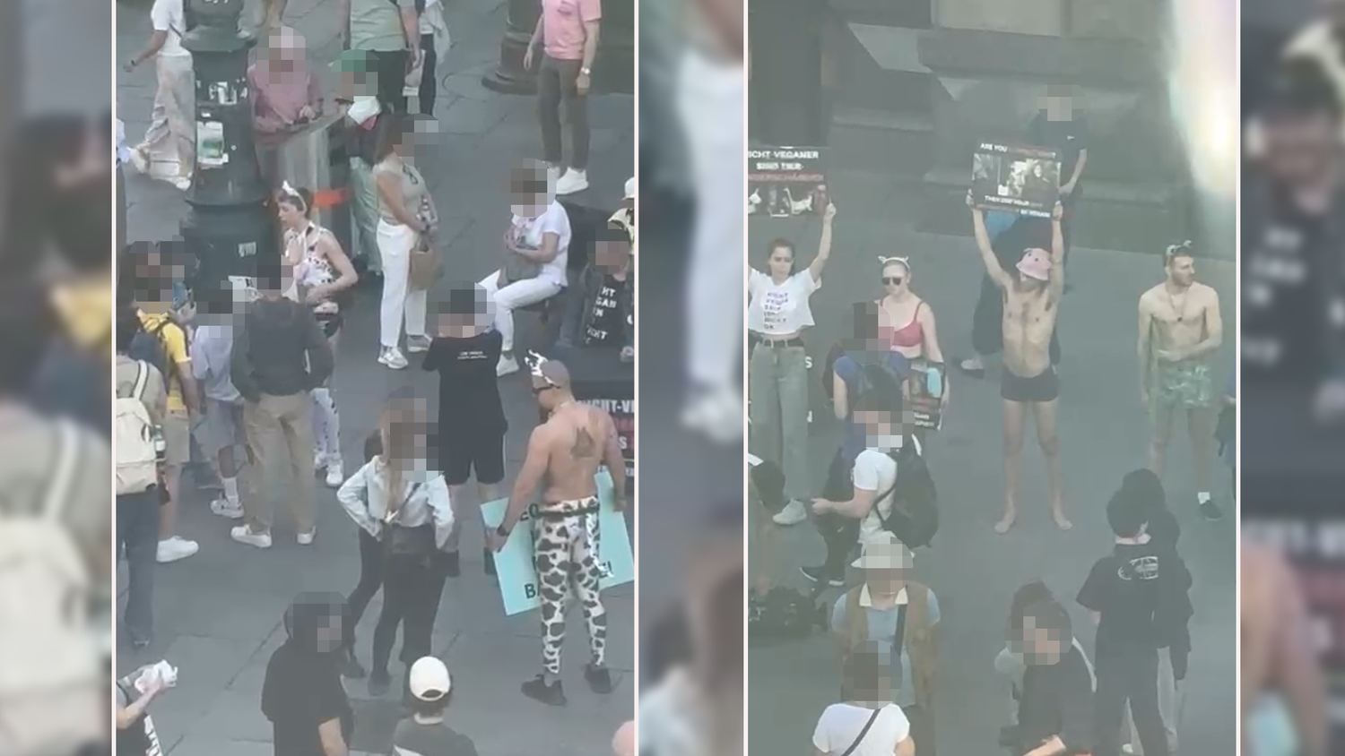 Leicht bekleidet protestierte die militante Veganerin am Samstagnachmittag mit Kollegen in der Wiener City. 