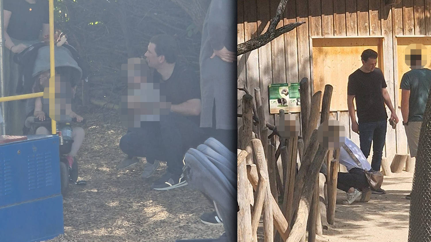 Am Freitagnachmittag stattete Sebastian Kurz gemeinsam mit seiner Frau und dem Sohnemann dem Tierpark Schönbrunn einen Besuch ab. 