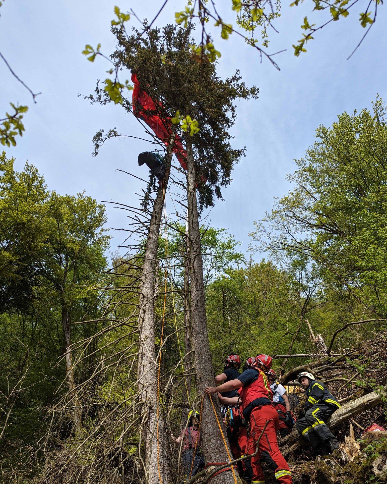 Der Flug eines 74-jährigen Paragleiters endete am Sonntagnachmittag in einer 12 Meter hohen Fichte.