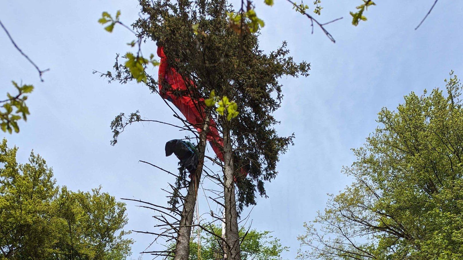 74-Jähriger hing völlig hilflos in 12 Meter Höhe
