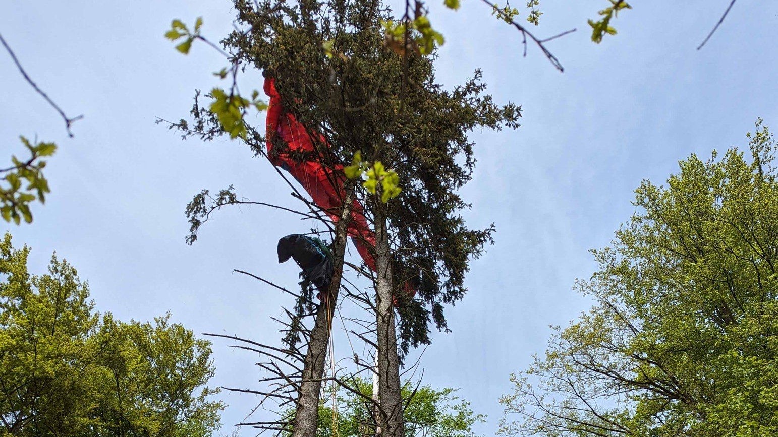 Heute.at - 74-Jähriger hing völlig hilflos in 12 Meter Höhe