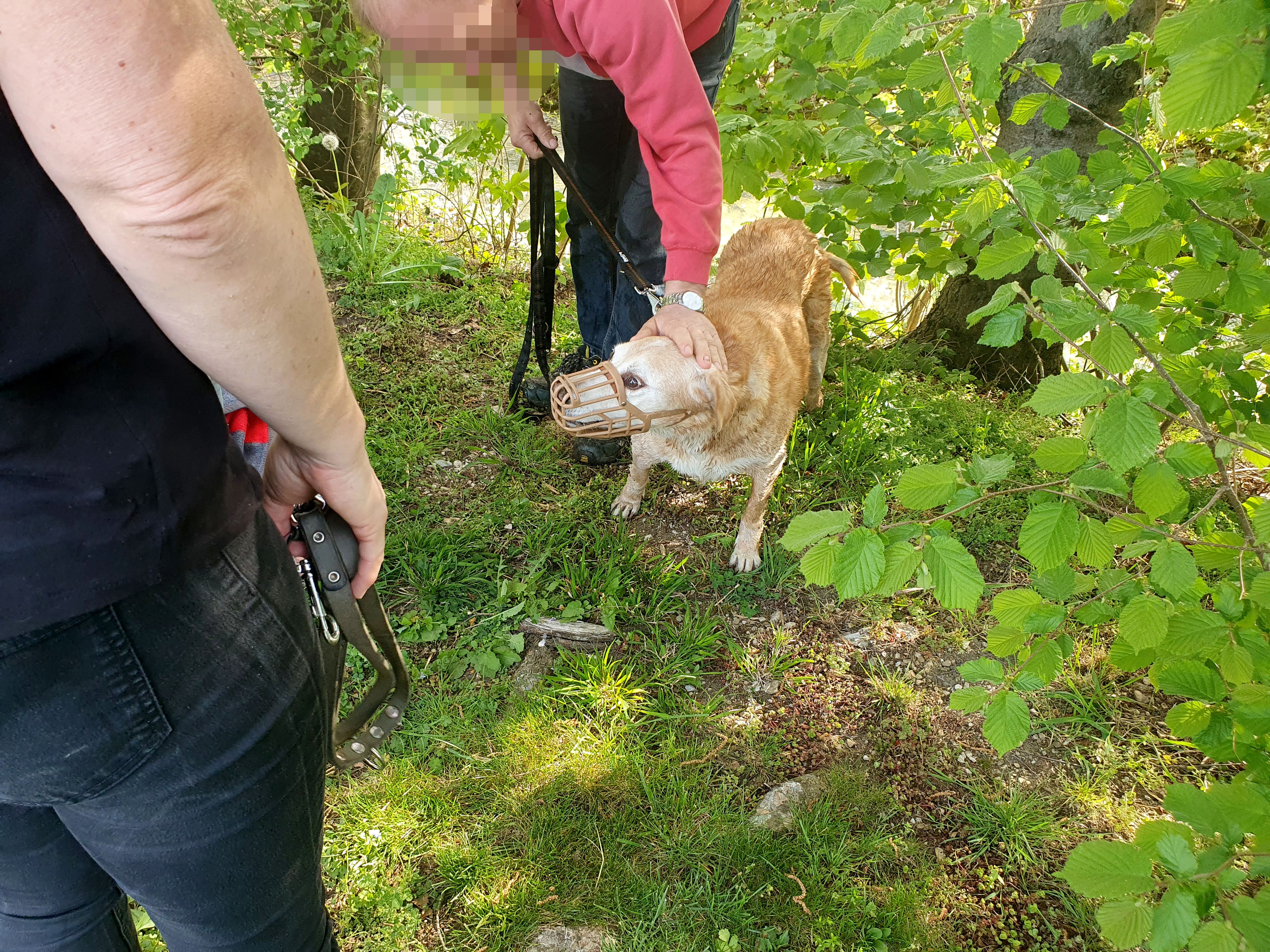 Das blonde Kerlchen machte es seinen Rettern nicht gerade leicht.