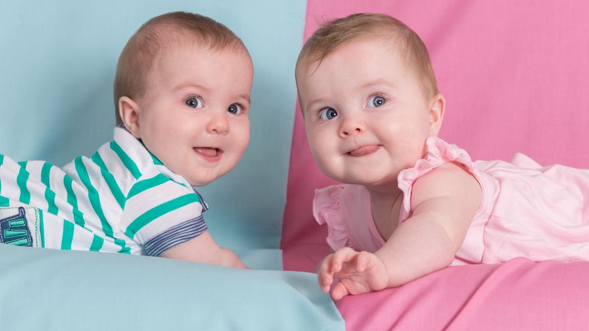 brother and sister - twins babies girl and boy on pink and blue background