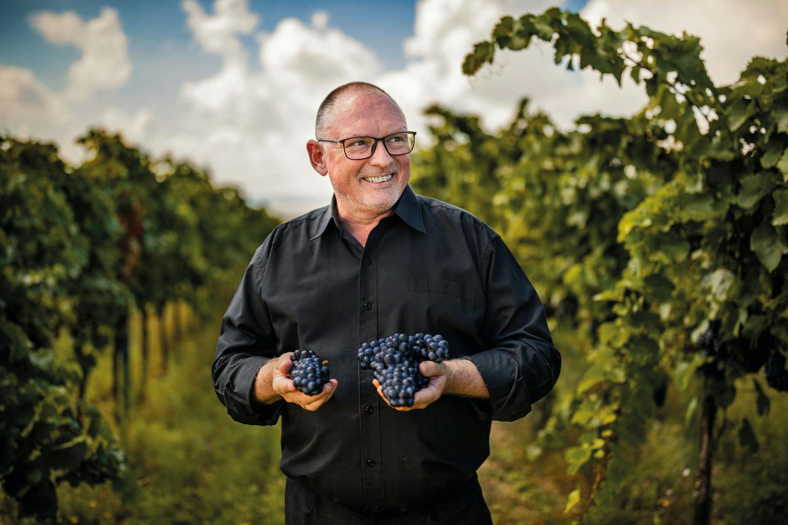 Peter Szigeti präsentiert stolz die Weintrauben, aus denen die Premium Sparklings hergestellt werden.