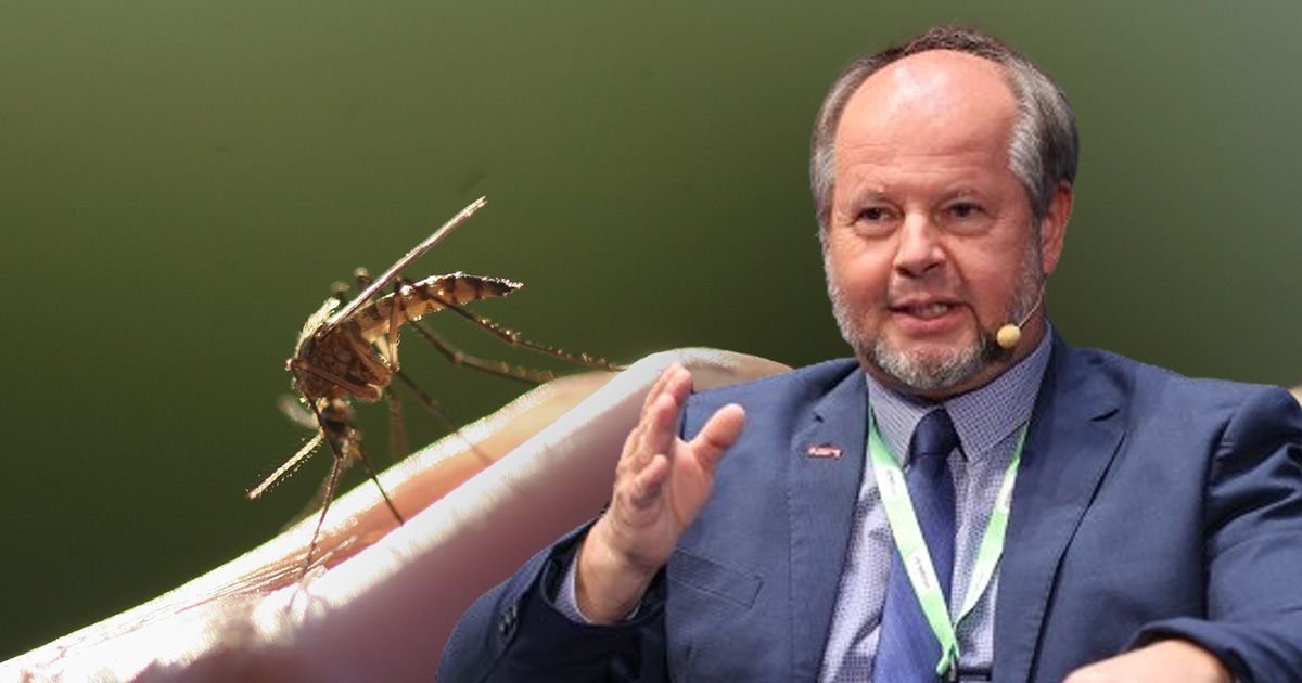 Der Wiener Virologe Norbert Nowotny, weiß wie lästig die Überschwemmungsgelsen sind. Gesundheitliche Gefahr gehe von ihnen jedoch keine aus.