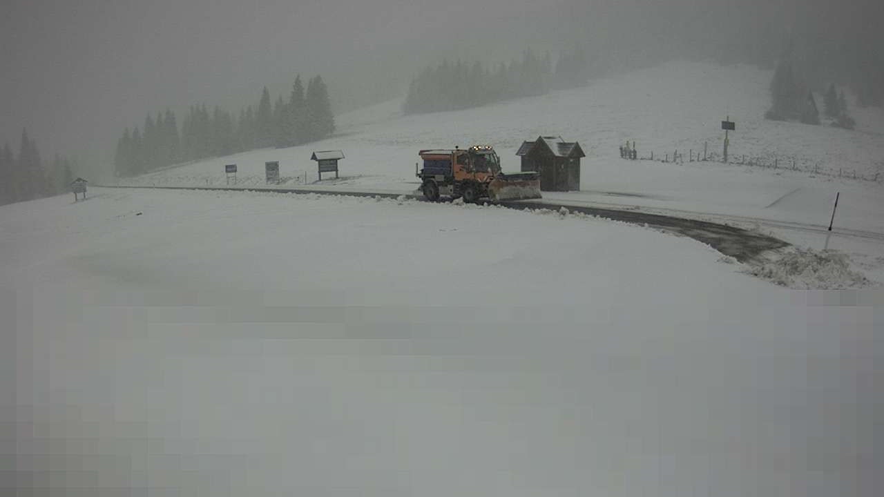 Heute.at - Intensiver Schneefall – wo Österreich jetzt weiß wird