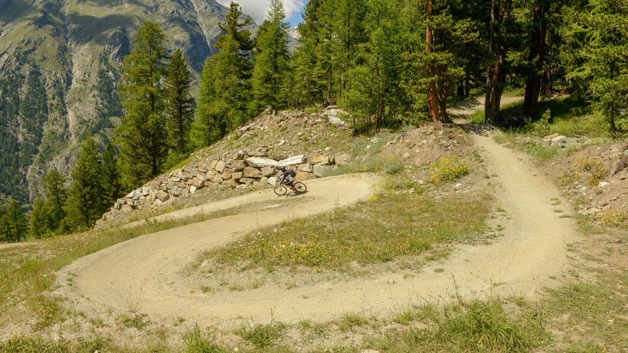 Der Unfall passierte auf einer Downhillstrecke in der Gemeinde Rachau.