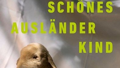 1. Roman von Satirikerin Toxische Pommes.