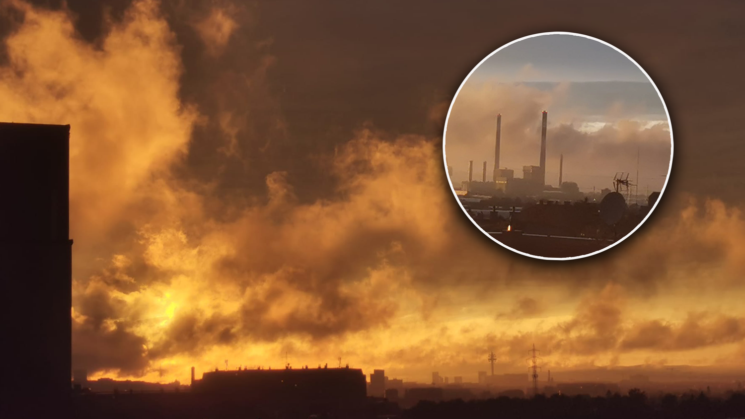 Unglaubliches Naturschauspiel in Wien Simmering. Eine 