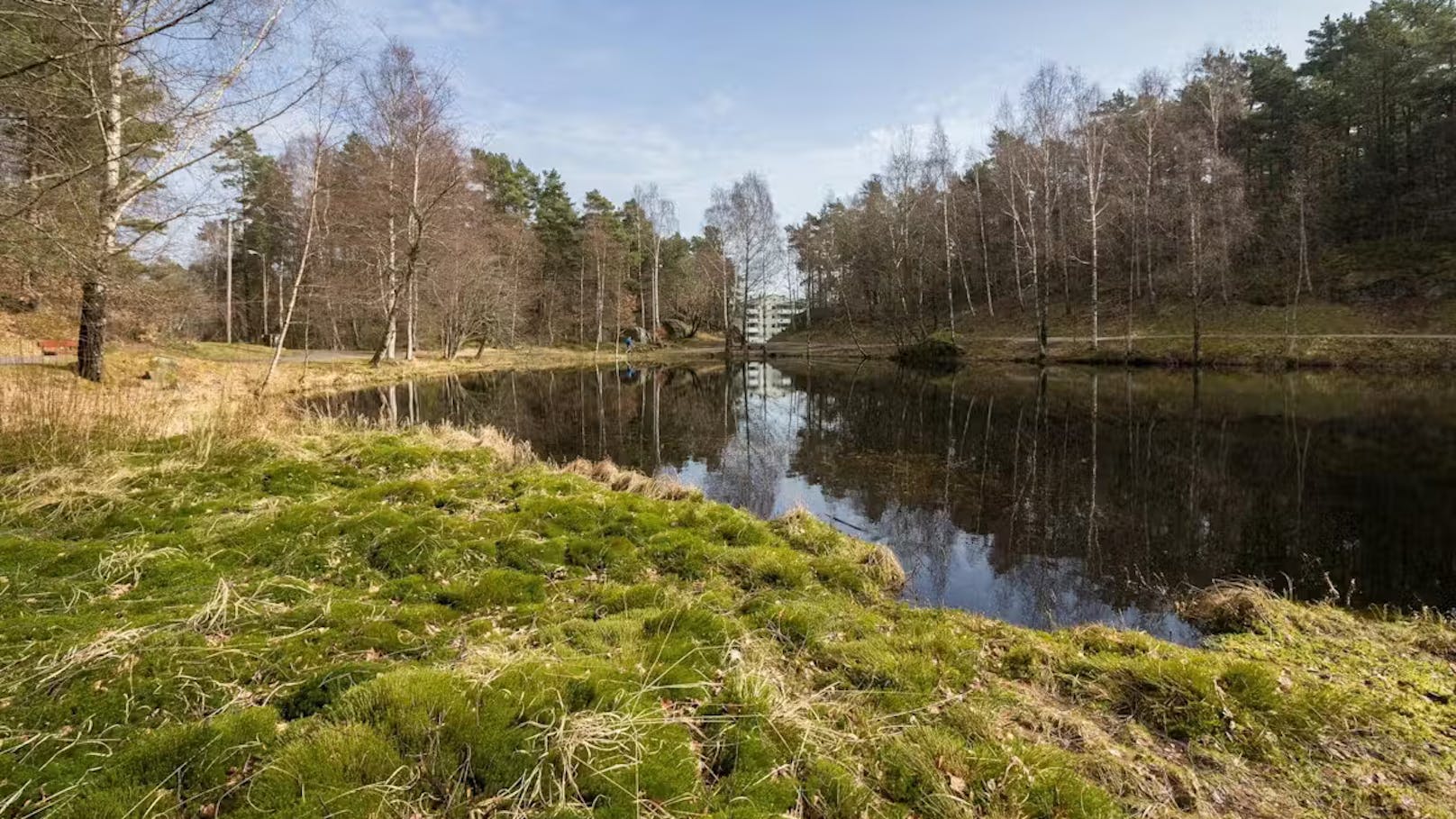 Im Mai 2000 wurden die Leichen der achtjährigen Stine Sofie Sörströnen und der zehnjährigen Lena Slögedal im Freizeitgebiet Baneheia (Bild) nahe Kristiansand gefunden.