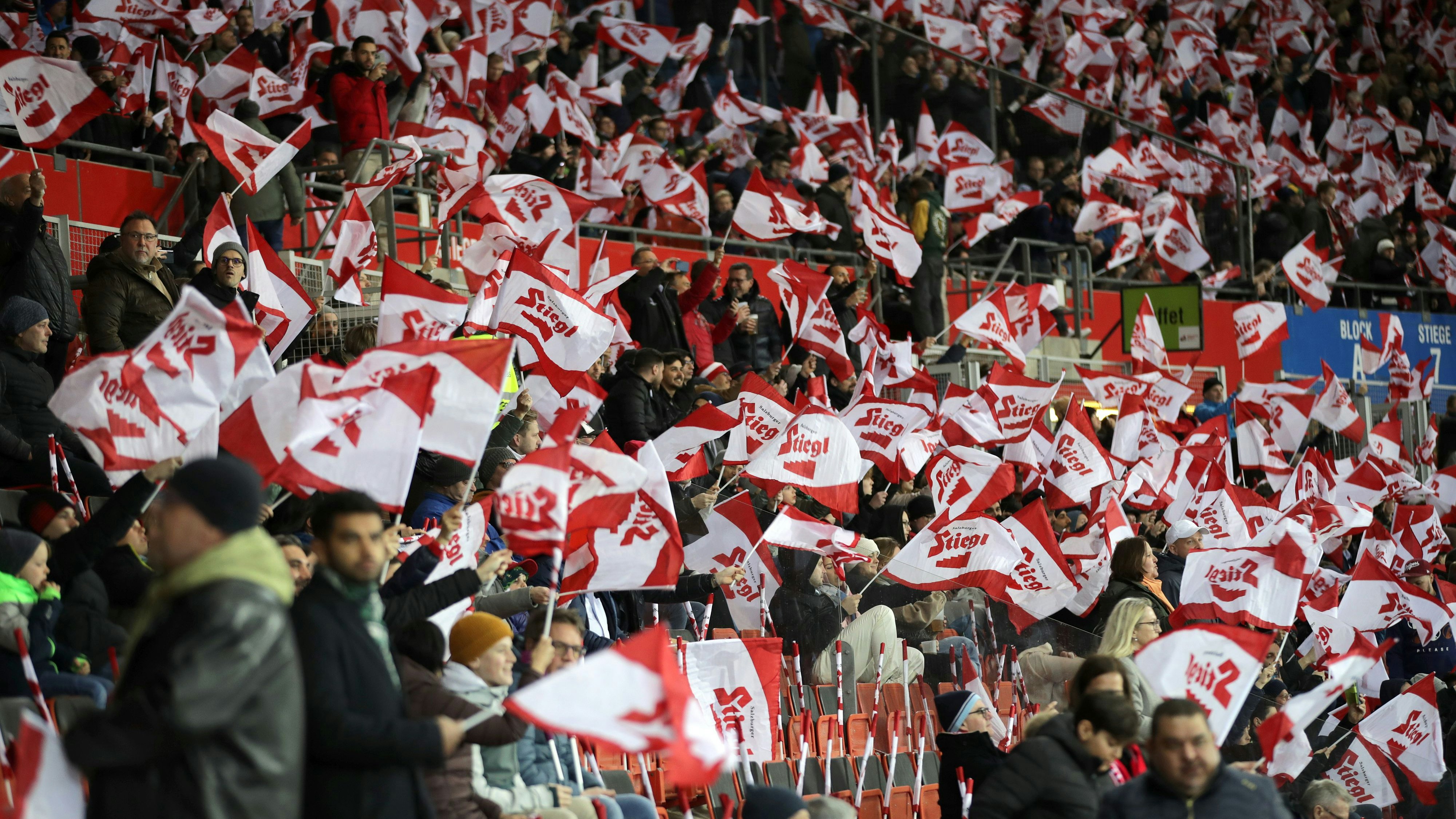 Die österreichischen Fans freuen sich auf die EURO.
