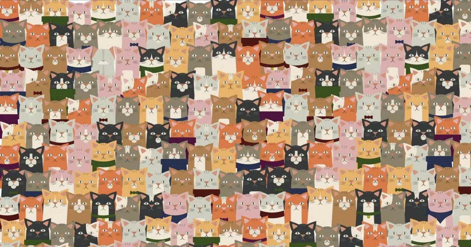 Zehn-Sekunden-Suchbild – findest du die "andere" Katze?