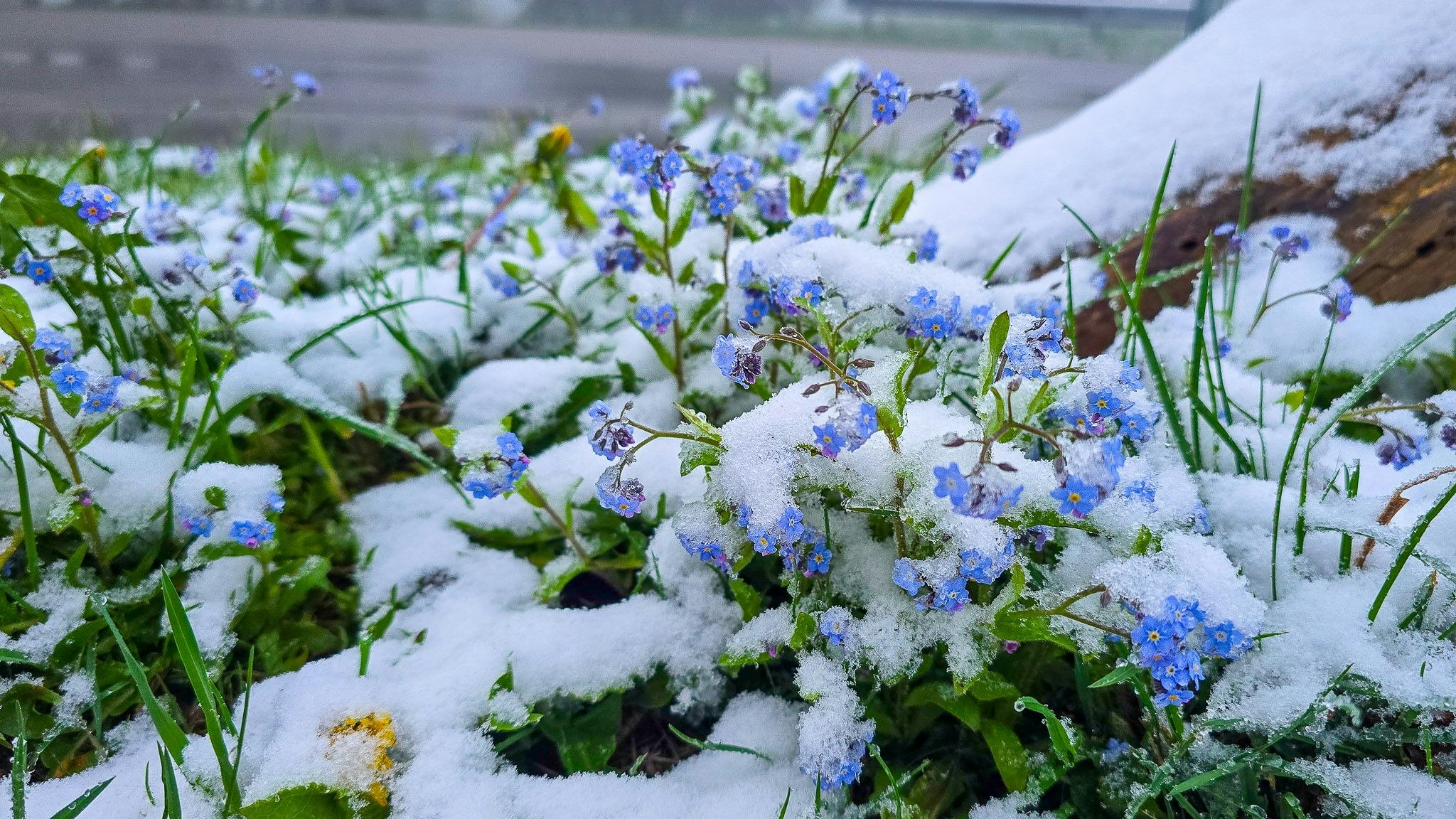 Heute.at - Wetter spielt verrückt – jetzt gibt es sogar Schnee